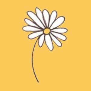 Meet your Posher, Analiese